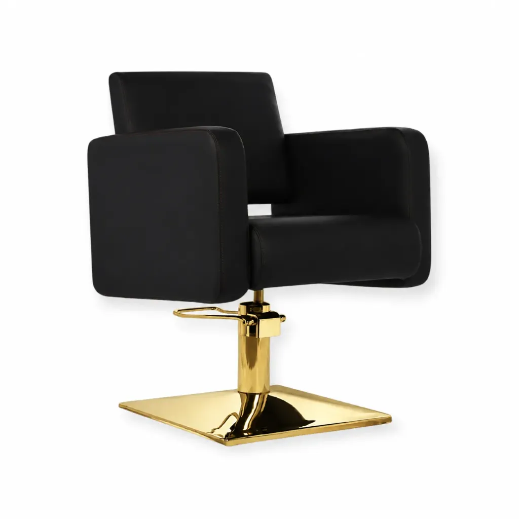 Salon Chair FR-88006-D1 | Gold Frame | Darwin Black (004)