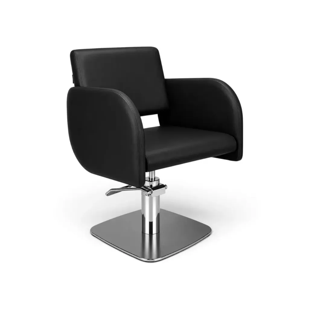 Salon Chair FR-88053-C1 | Silver Frame | Black (004)