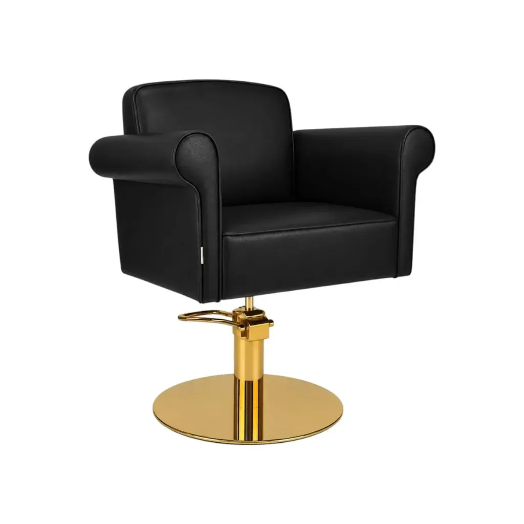 Salon Chair CZ-002BK-C6 | Gold Frame | Black (004)